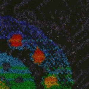 Moquete Autocarro LTMQ 008 | Veludos para Estofos, Moquete Autocarro | Aeronáutica, Automóveis Clássicos, Automóvel, Ferroviária, Náutica | A CarStuff - Tudo para Estofos e Estofadores é lider nacional no fornecimento de peles, tecidos, napas, lonas, capotas, alcatifas, ferramentas e tudo para estofos em automóveis, clássicos, náutica, ferroviária, aeronáutica e decoração.