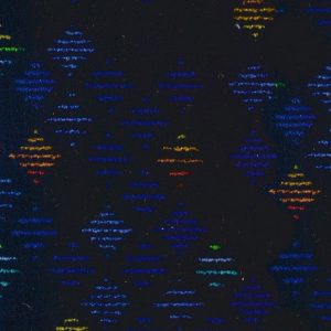 Moquete Autocarro LTMQ 025 | Veludos para Estofos, Moquete Autocarro | Aeronáutica, Automóveis Clássicos, Automóvel, Ferroviária, Náutica | A CarStuff - Tudo para Estofos e Estofadores é lider nacional no fornecimento de peles, tecidos, napas, lonas, capotas, alcatifas, ferramentas e tudo para estofos em automóveis, clássicos, náutica, ferroviária, aeronáutica e decoração.