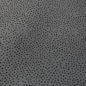 Napa Toyota Hiace/Dina