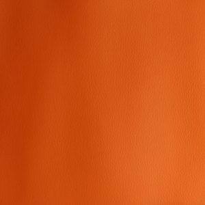 Napa Dauphins 02 – Laranja