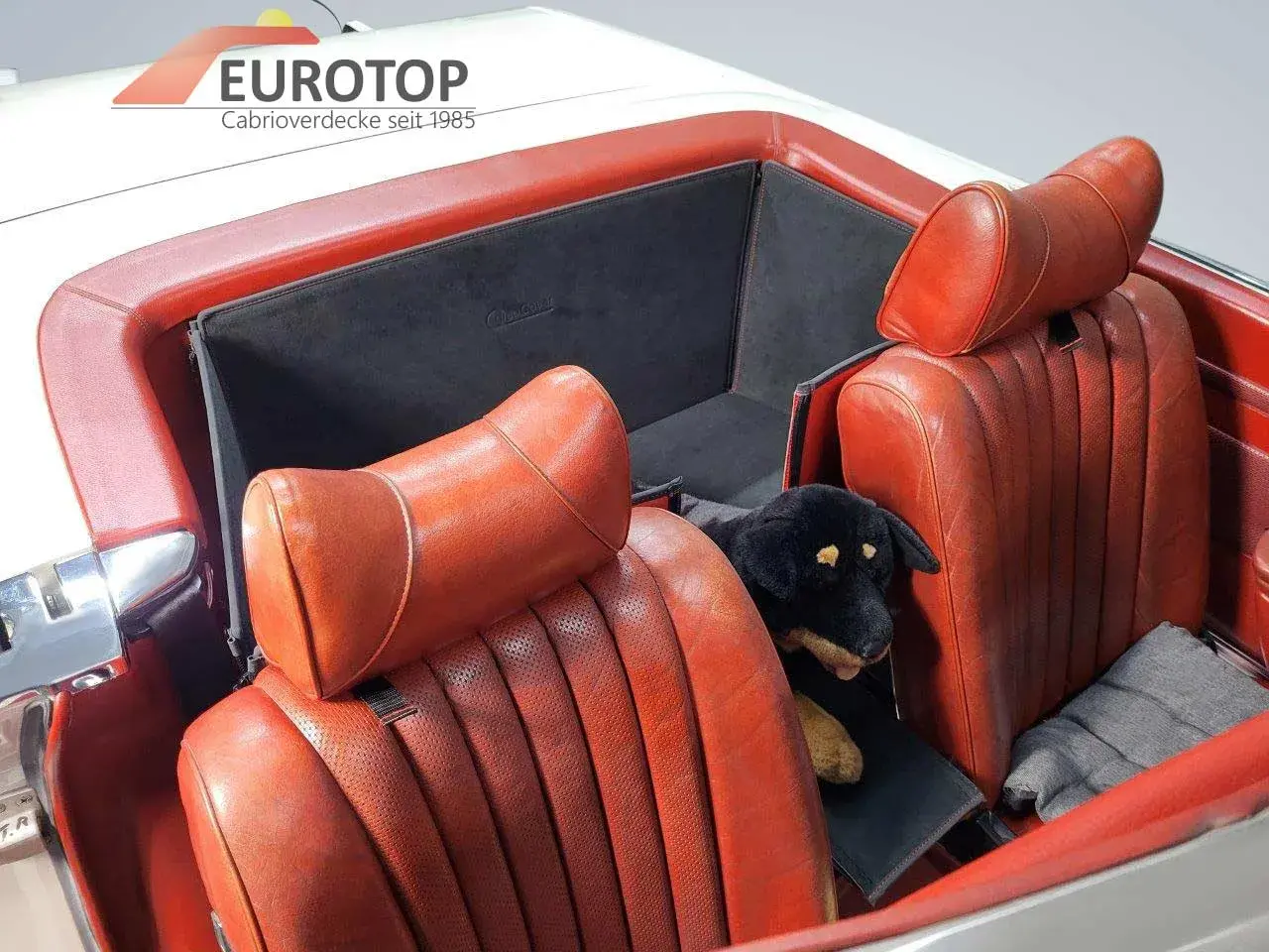CargoCover para Mercedes R107 - Vista 7